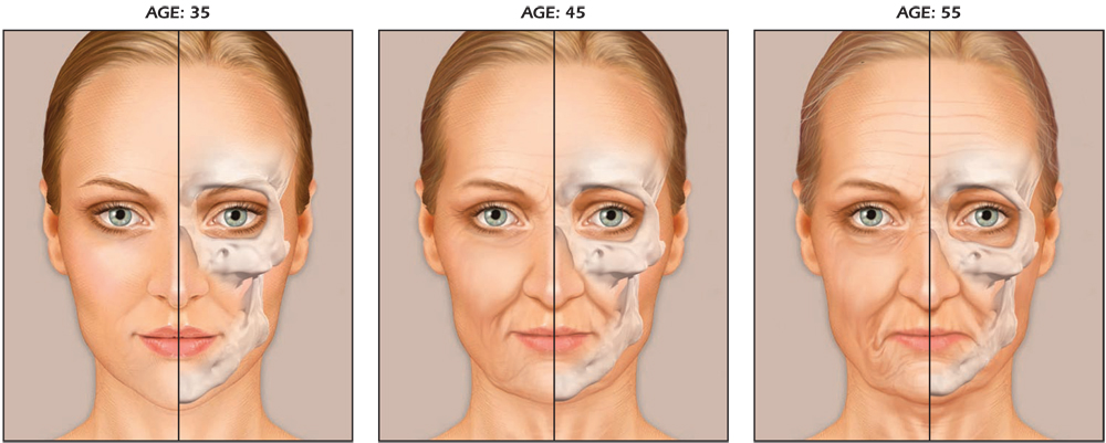 middle-adulthood-human-development