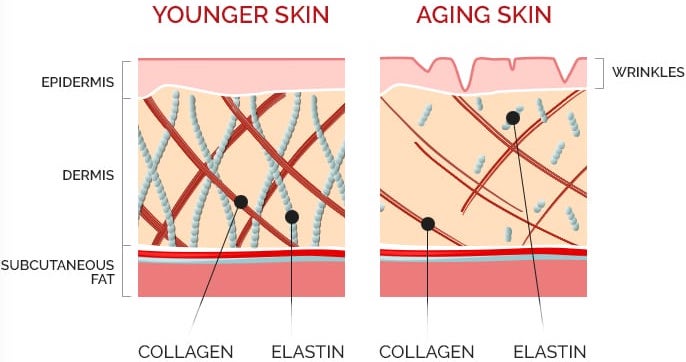 Understanding Facial Aging In New Orleans La Audubon Dermatology